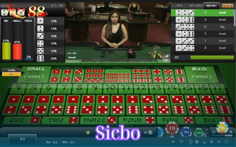 Trò chơi Sicbo là một kiểu game đặc biệt phổ biến ở casino